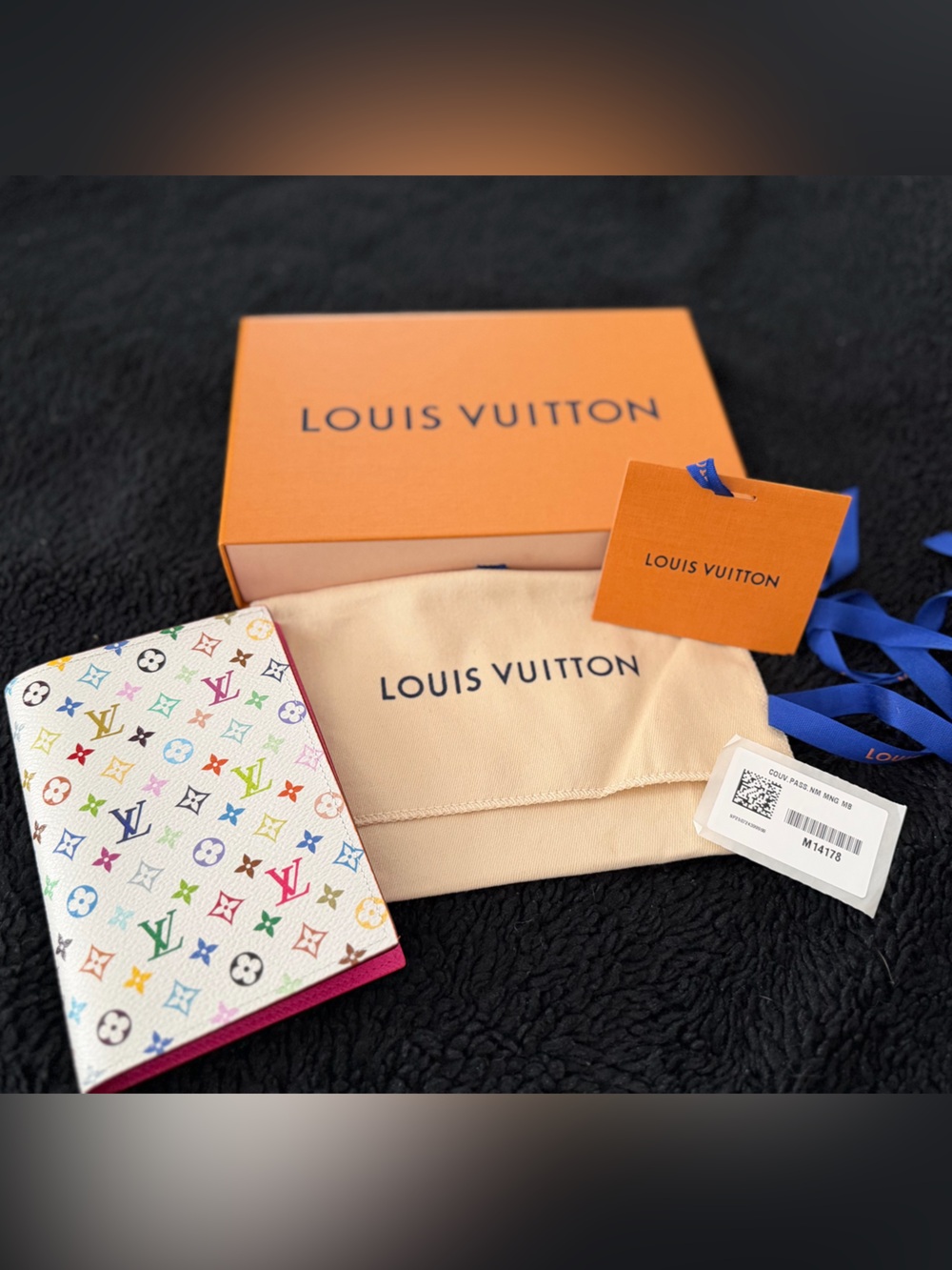 Louis Vuitton X TM passport cover